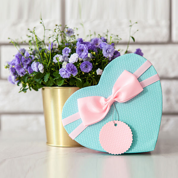 Financial Education Course